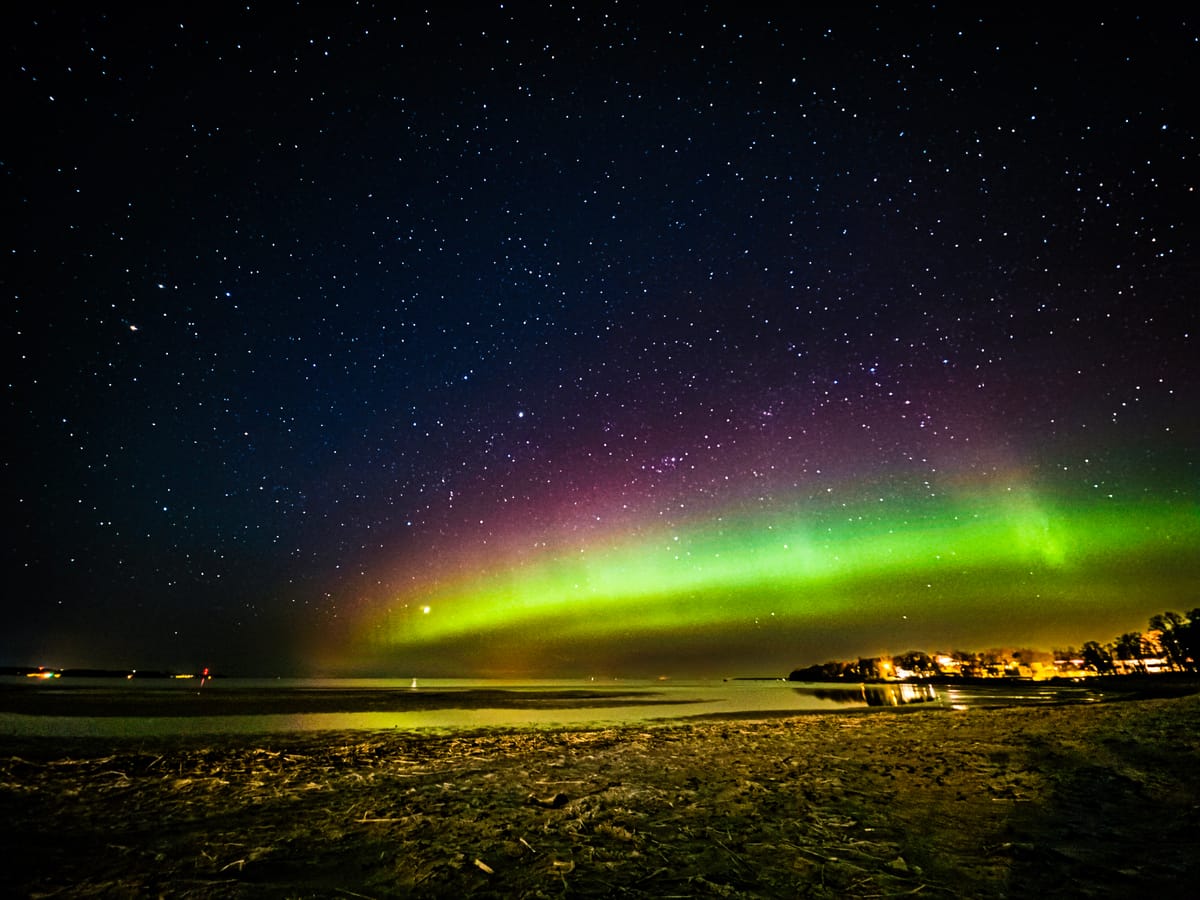 One year. Four seasons. Countless moments. 📸